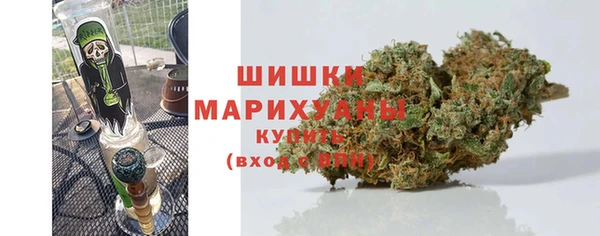 тгк Богданович