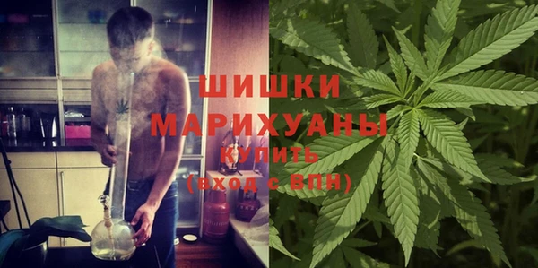 ГАЛЛЮЦИНОГЕННЫЕ ГРИБЫ Богородск