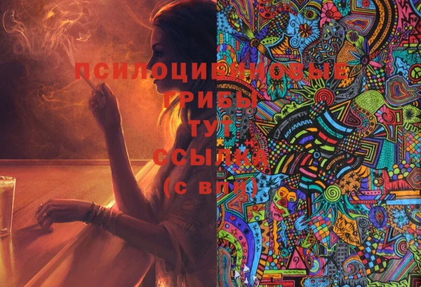 МДПВ Богородицк