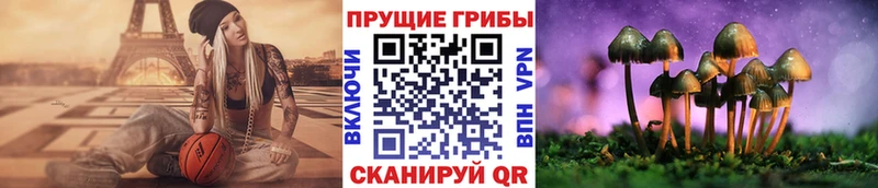закладка  Златоуст  блэк спрут маркетплейс  Псилоцибиновые грибы GOLDEN TEACHER 